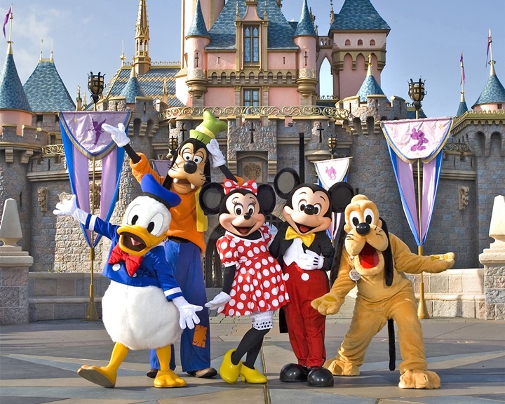 private shuttle, car or taxi services to Disneyland